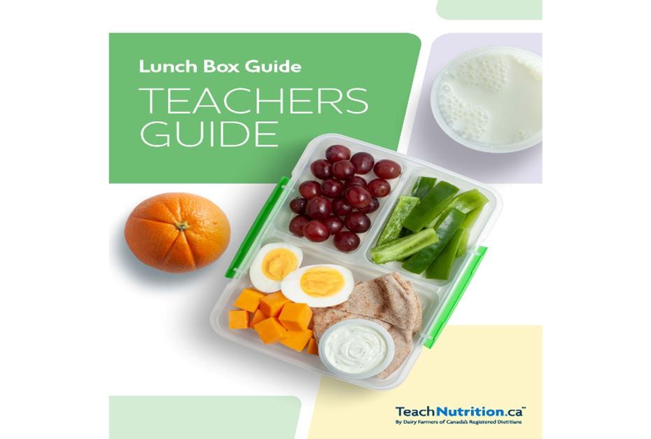 Teacher Guide